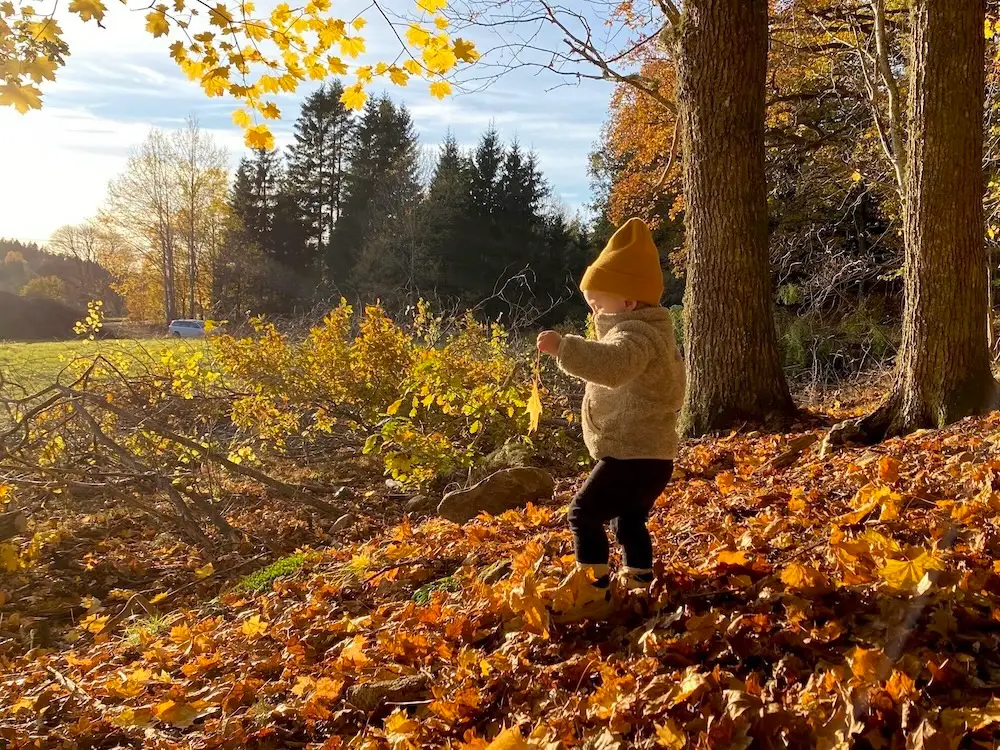 Barn leker på hösten bland löv